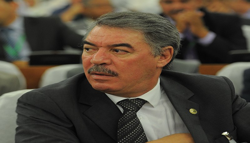 حجار شجرة لكل شهيد