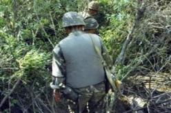 القضاء على إرهابي واسترجاع  ثلاث بنادق صيد وقنابل تقليدية بتيزي وزو