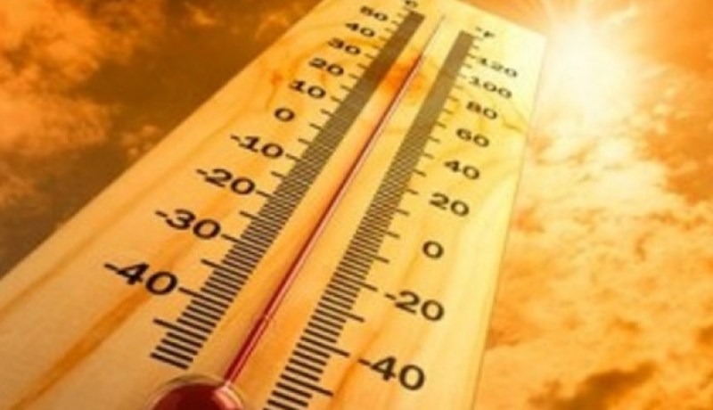 وزارة الصحة المصرية تعلن وفاة 87 شخصا جراء موجة الحر