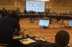 تحقيق السلم والتعاون والتنمية في صلب خطة العمل المستقبلية للتيكاد