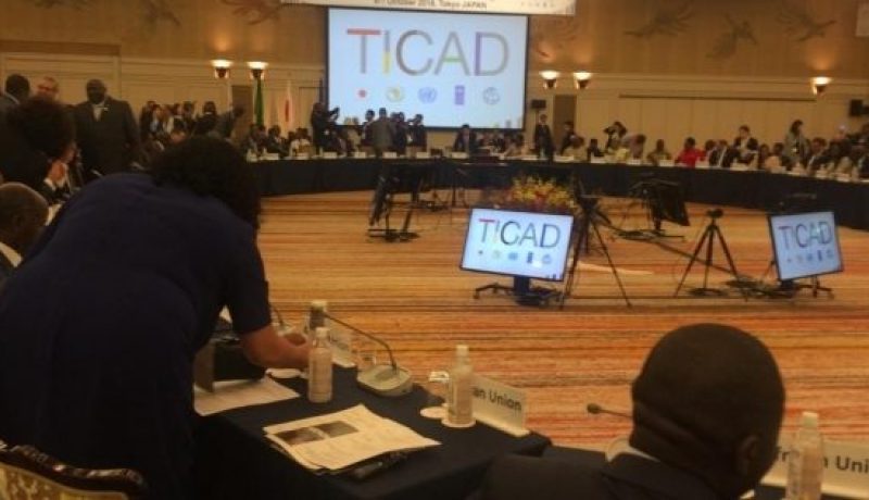 تحقيق السلم والتعاون والتنمية في صلب خطة العمل المستقبلية للتيكاد