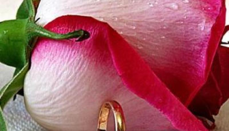 النهار تساعدك على ذلك