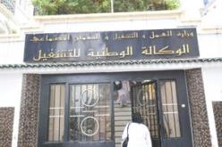 الوكالة الوطنية للتشغيل ترتقب 350 ألف توظيف سنة 2014