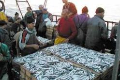 الاتحاد العام للتجار والحرفيين الجزائريين يدعو إلى مواصلة الجهود في مجال حماية الموراد الصيدية