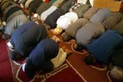 قطة تحدث الرعب داخل مسجد في عنابة