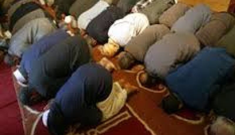 قطة تحدث الرعب داخل مسجد في عنابة