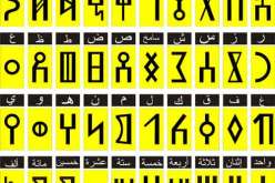 مسؤول: الأمازيغية في الجزائر وجدت مكانتها الشرعية في الفضاء الجامعي