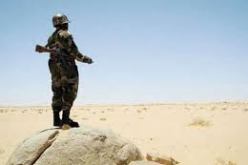 وزارة الدفاع: توقيف مهربين وحجز سيارات معبئة بالمواد الغذائية في