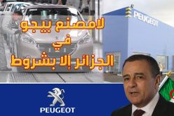 الجزائر لن تتنازل عن شروطها بخصوص مشروع مصنع بيجو