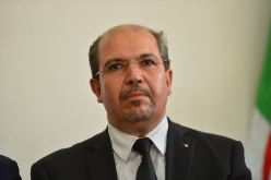 محمد عيسى يطمئن عائلات الحجاج