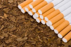 حجز أزيد من 6 قناطير من مسحوق أعواد التبغ بسطيف