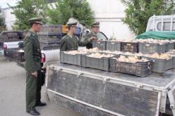 حجز 6 قناطير من اللحوم البيضاء غير صالحة للاستهلاك بتيارت