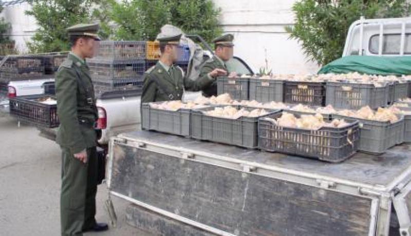 حجز 6 قناطير من اللحوم البيضاء غير صالحة للاستهلاك بتيارت