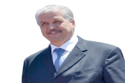 سلال .. القادم من الشرق