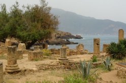 أمسية شعرية بالآثار الرومانية بتيبازة