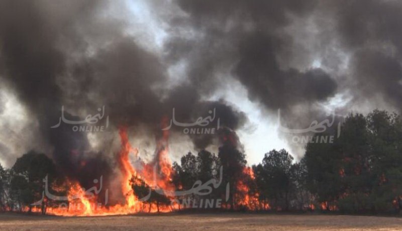 بدوي: يجب تظافر الجهود لتفادي إندلاع الحرائق