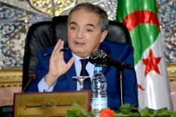 بختي يؤكد ان تخزين المواد الفلاحية في غرف التبريد  يسبب الضغط على السوق