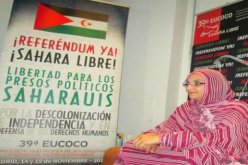 أميناتو حيدر:”الشباب الصحراوي يطالب بالكفاح المسلح لوقف انتهاكات نظام المخزن”