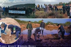 الشلف: متربصو مركز التكوين المهني يشاركون في حملة تشجير بالرياشة في تنس