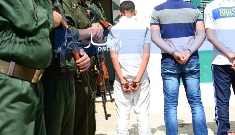 درك تيبازة يحجز 4 أسلحة نارية و7 آلاف خرطوشة صيد