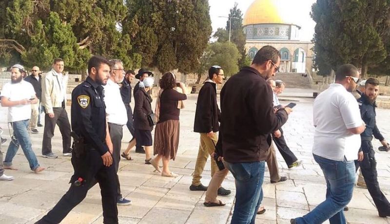 158 مستوطنا صهيونيا يقتحمون الأقصى