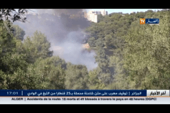 ‫‏بالفيديو‬.. حريق في غابة حديقة التسلية‬ ببن عكنون ‫‏بالعاصمة‬