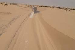 الوادي: زحف الرمال يعزل قرية الخبنة الصفراء ببلدية واد العلندة