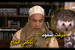 حرام عليك …لوكان صيدتي القنفوذ وما حرقتيهش !!!