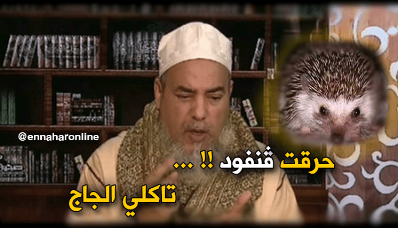 حرام عليك …لوكان صيدتي القنفوذ وما حرقتيهش !!!