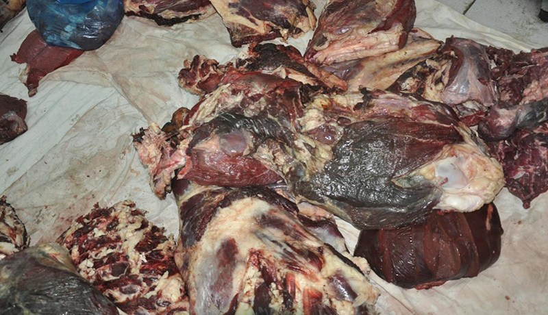 سيدي بلعباس.. اللحم الفاسد يودي بحياة طفل ويسمّم 5 آخرين 