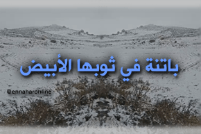 بالفيديو.. باتنة تكتسي الحلّة البيضاء