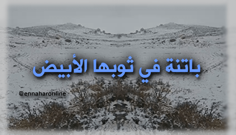 بالفيديو.. باتنة تكتسي الحلّة البيضاء