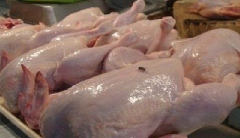 حجز قرابة 700 كلم من اللحوم البيضاء الفاسدة في تيارت