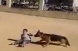 أمـن وهـران يـوقـف 4 متـورطـين وأهـالي الـطـفـل يتـسترون علـى الحادثة