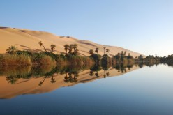 قافلة صيف الجزائر تجوب 3 مدن جنوبية بدءً من الجمعة