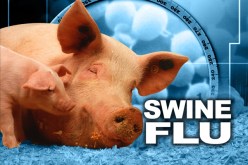 أنفلونزا الخنازير تودي بحياة شخص في الأردن