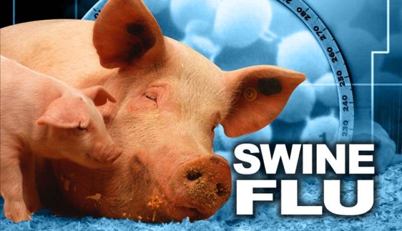 أنفلونزا الخنازير تودي بحياة شخص في الأردن