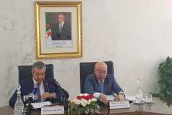 وزير الداخلية: إجراء الإحصاء العام للسكان والإسكان سنة 2020