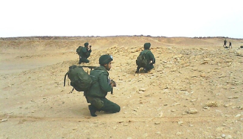 توقيف 27 مهربا و 21 مهاجرا غير شرعيا وحجز سيارتين بالجنوب الجزائري