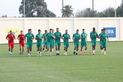 المنتخب المحلي يجري أول حصصه التدريبية تحت قيادة “باتيلي”