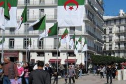 تنصيب المجلس الوطني لحقوق الإنسان وتعيين بن فافا زروقي رئيسه له