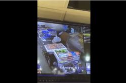 بالفيديو عملية سطو مسلح احترافية في عرعر السعودية