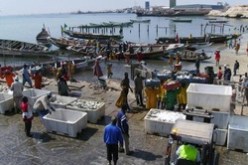 مقتل 3 بحارة وفقدان اخر في غرق سفينة صيد في شواطئ موريتانيا