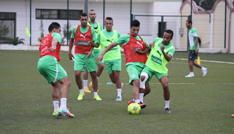 الجزائر تفكر في المشاركة ببطولة إفريقيا للاعبين المحليين 2018