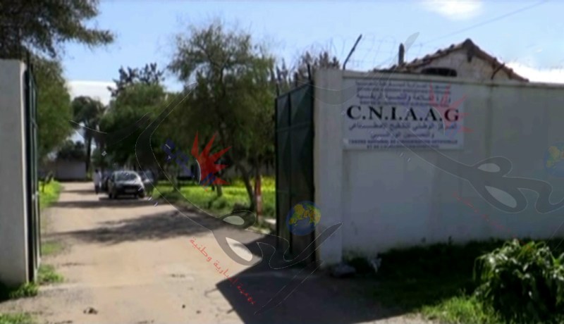 تلفزيون النهار يقف على فضيحة فساد بمخبر التلقيح الاصطناعي بباعلي