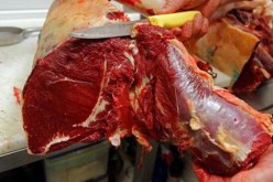 سحب و إتلاف نحو 110 أطنان من الأجبان و لحم البقر الفاسد ببومرداس