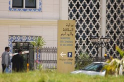 وزارة الصناعة ترخص لـ11 منجما