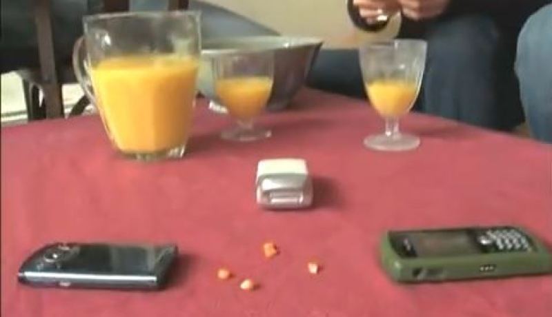خطير شاهد ماذا تفعل ذبذبات الهاتف بحبات الذرة