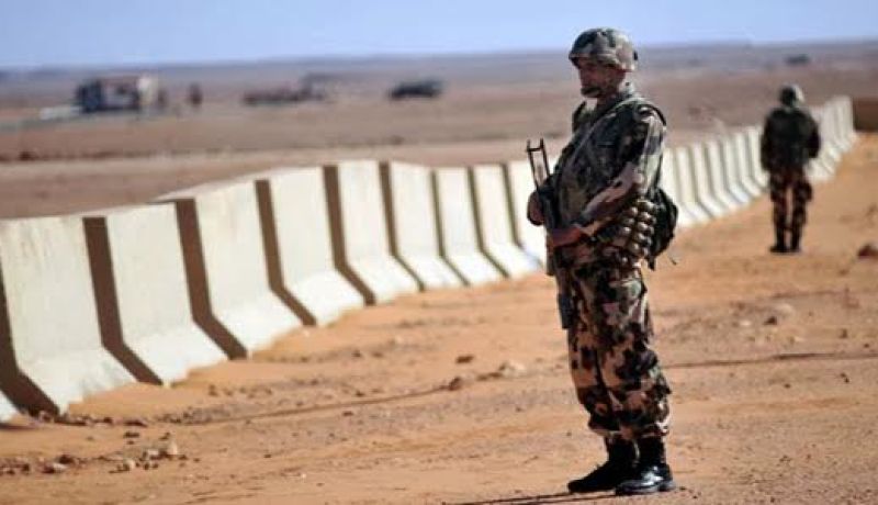 تدمير مخابئ للارهاب وتوقيف تجار مخدرات في تيزي وزو وتلمسان والجنوب