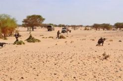 توقيف 4 مهربين وحجز سيارتين و1497 علبة سجائر بالوادي